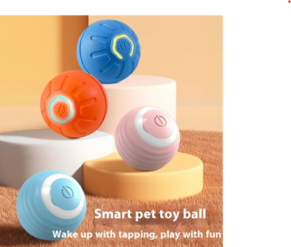 Interactive Toy Ball