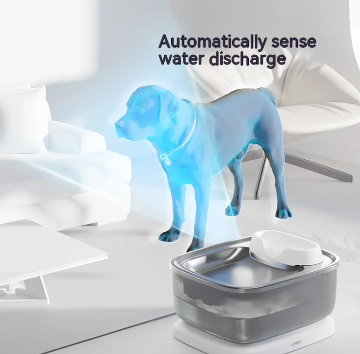 Wireless Water Fountain