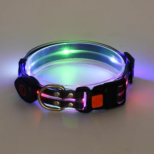 LED Pet Collar with Nylon Leash