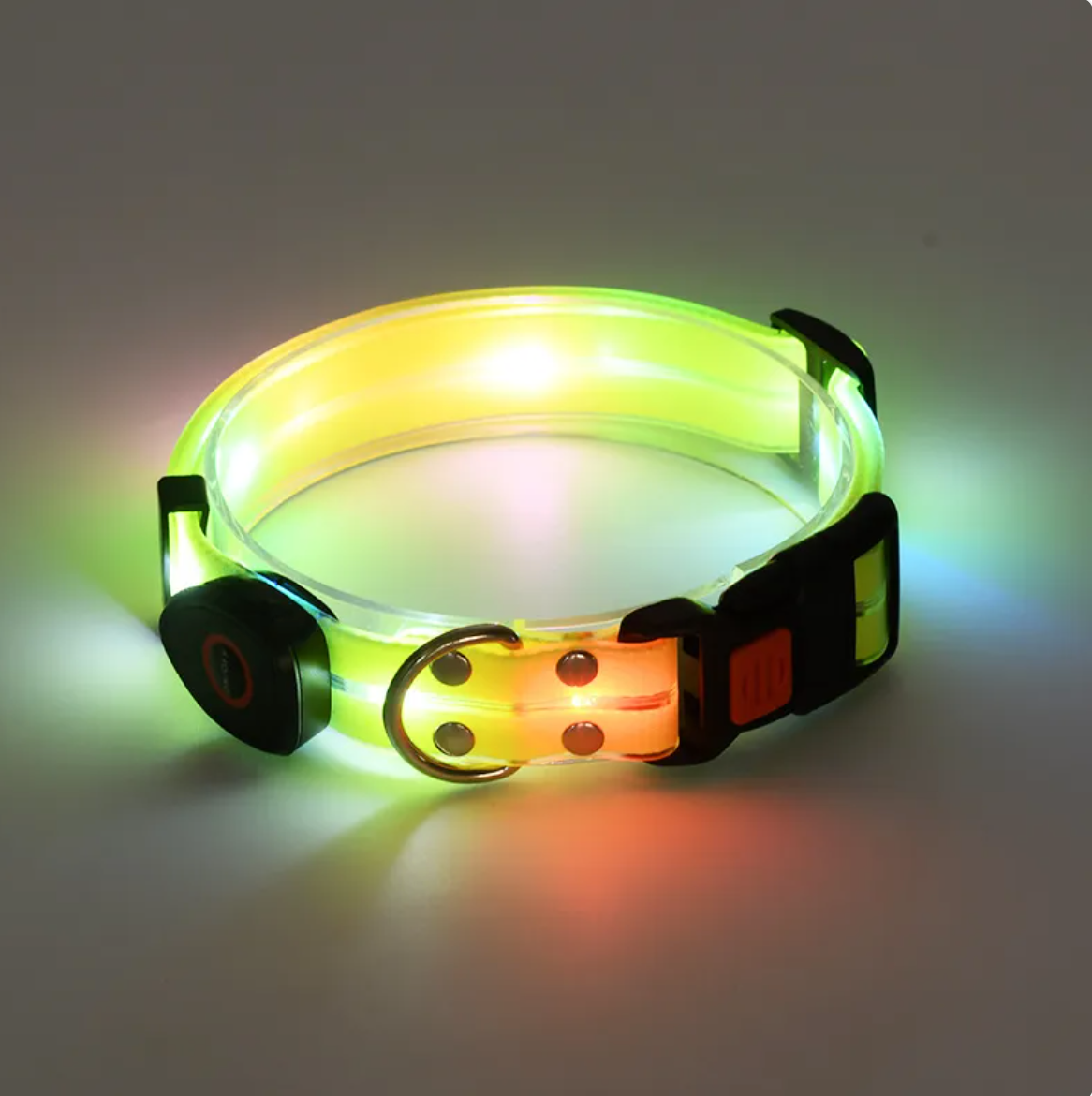 LED Pet Collar with Nylon Leash