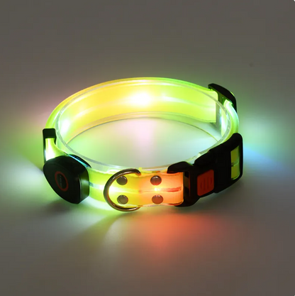 LED Pet Collar with Nylon Leash