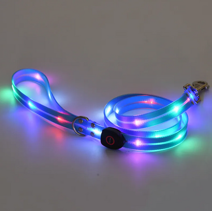 LED Pet Collar with Nylon Leash