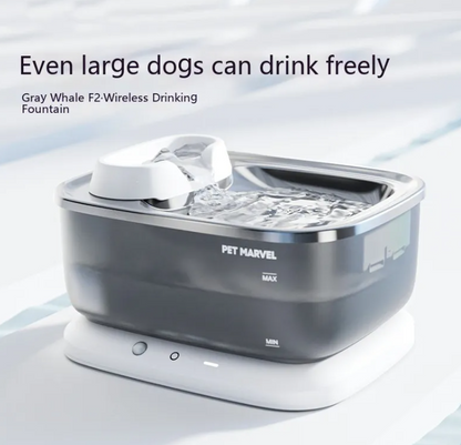 Wireless Water Fountain