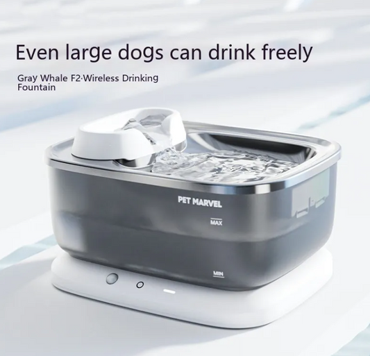 Wireless Water Fountain